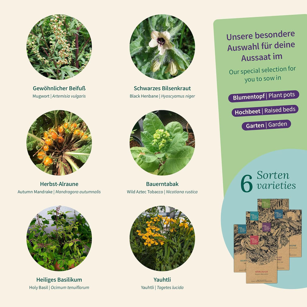 Mágikus kerti magvak – Elvarázsolt növények 6 varázsfüvével: üröm, üröm, mandragóra és még sok más – tömjénnövények, melyeket saját magának termeszthet és ajándékozhat