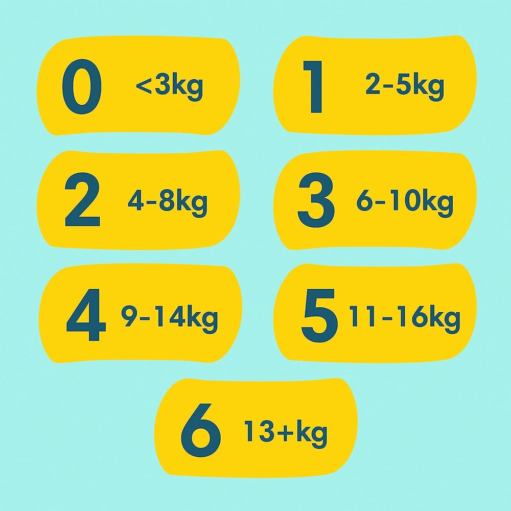 Premium Protection Starter Pack 1 és Aqua nedves törlőkendők