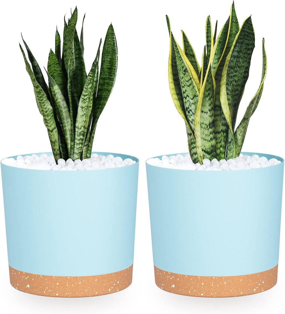 Ghiveci de flori set de 2 12,7 cm, ghivece pentru plante de interior cu găuri de drenaj și bază detașabilă, farfurioare decorative moderne pentru jardiniere de grădină de exterior (alb 12,7 cm)