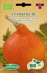 Kürbis UCHIKI KURI, ECBIO4007