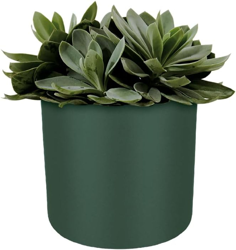 elho B.for Soft Round 14 - Ghiveci de flori de interior - Plastic 100% reciclat - Ø 13,8 x H 12,5 cm - Verde/Verde frunză