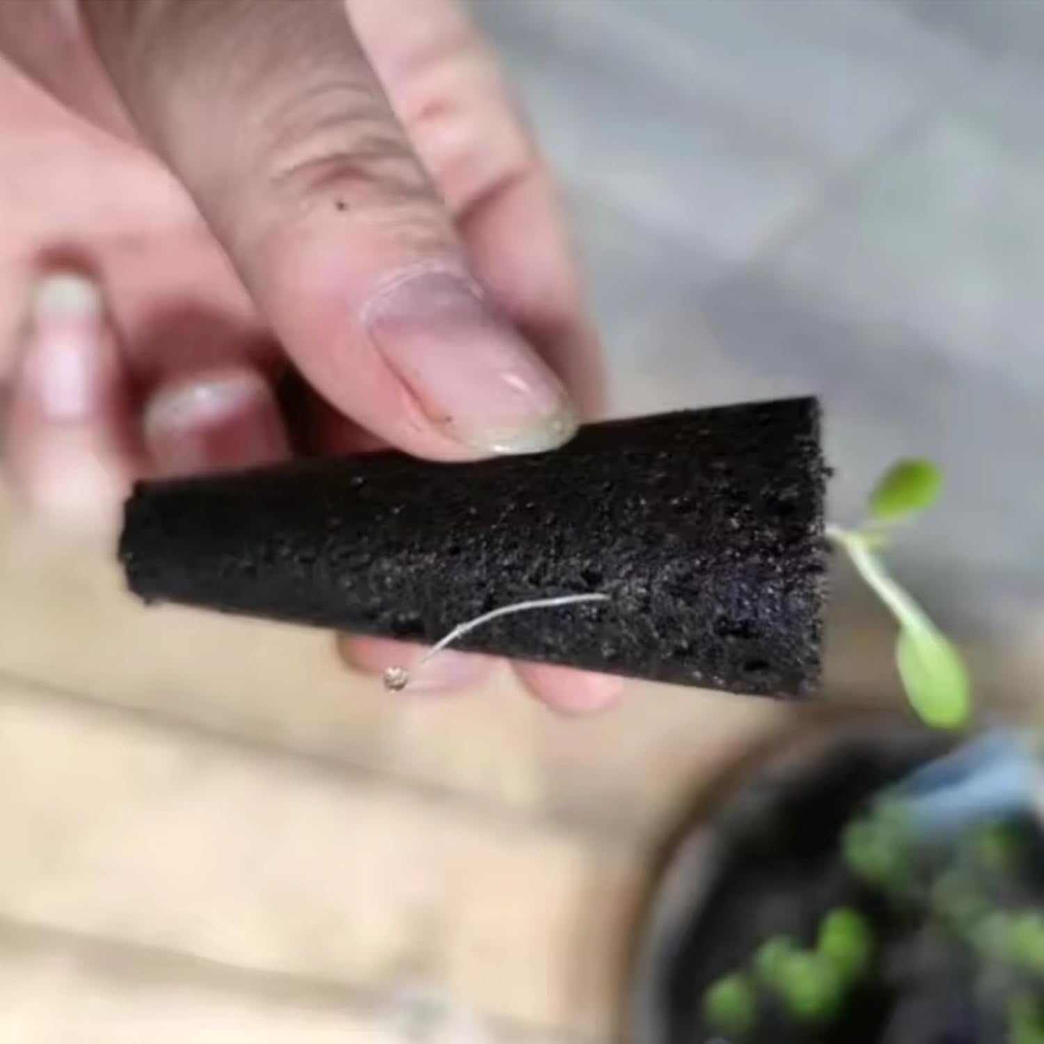 50 csereszivacs, vetőmagtelepítő csövek, gyökértermesztő szivacsdugók, hidroponikus termesztőkészletek hidroponikus termesztőrendszerekhez, beltéri hidroponika, kert