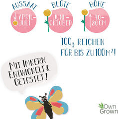 Butterfly Meeting Flower Mix: 100g Premium Butterfly Flower Mags - Rovarbarát méhmagok, évelő és egynyári virágmagok rétekre - Vadvirág magok az OwnGrown-tól