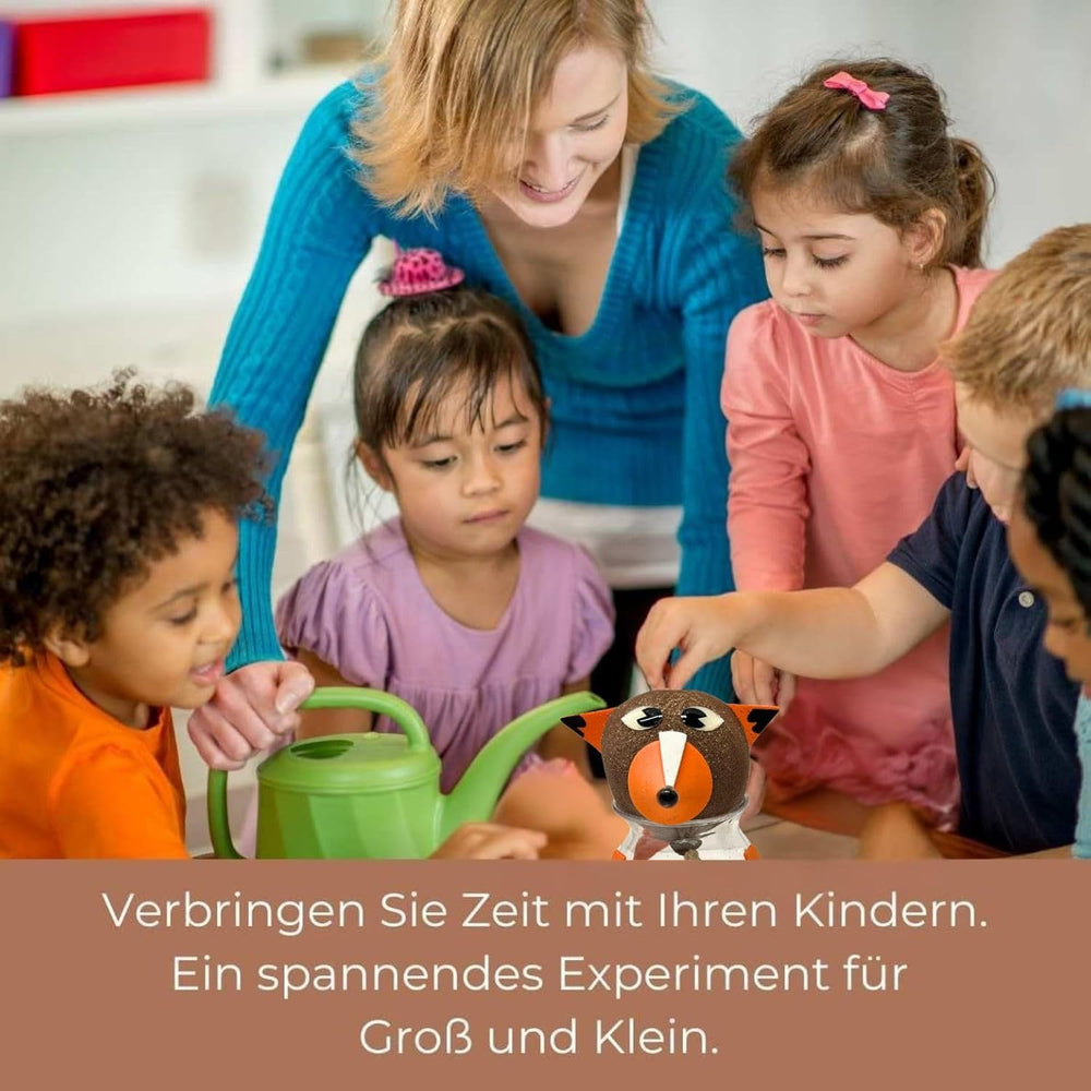 Bada Bing Graskopf 4er készlet incl. Wasserbehälter Waldtiere DIY Tiere – Rasenkopf Tierkopf mit Rasensamen – Experiment für Kinder – Spaß mit Lerneffekt – Geschenk Mitbringsel Kindergeburtstag Mitgebsel