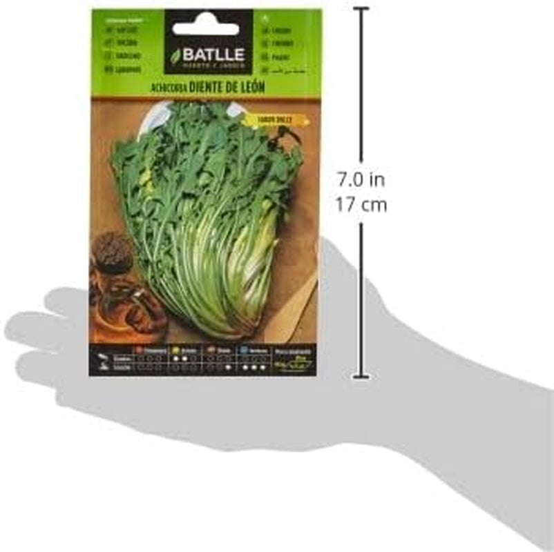 Batlle Gemüsesamen - Wild Chicoree -Radicchio Löwenzahn (4500 Samen)