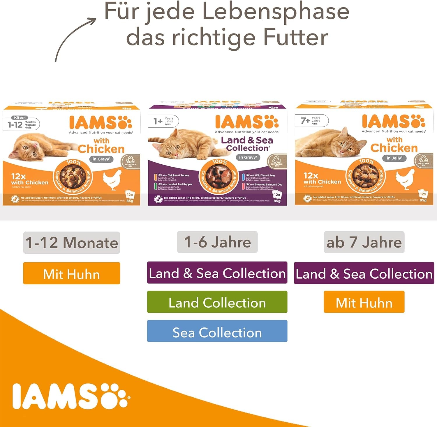 IAMS Delights Kitten Nassfutter - Multipack Katzenfutter mit Huhn in Sauce, hochwertiges Futter für Junior Kätzchen von 1-12 Monate, 12 x 85 g