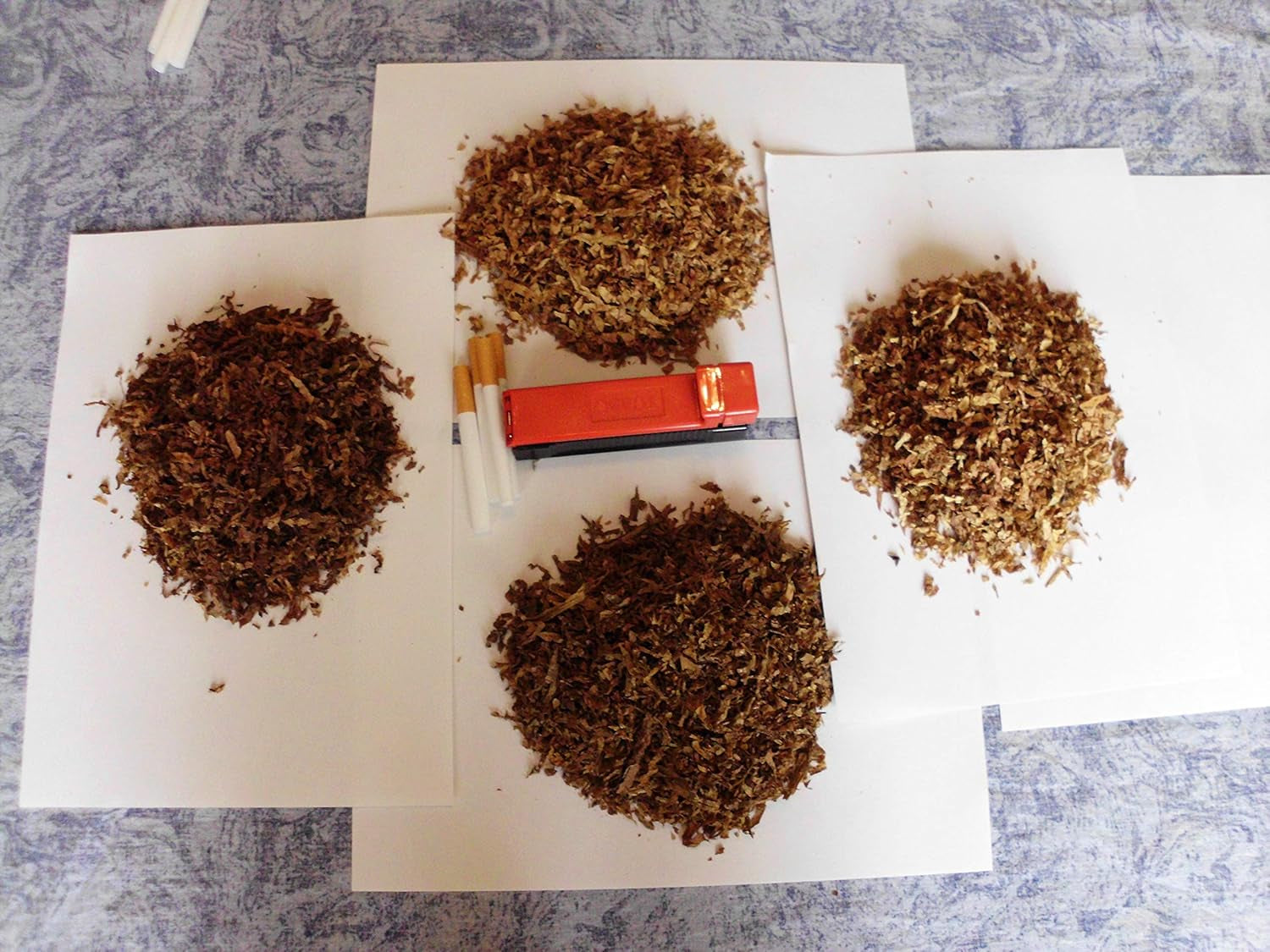 Tobacco Seeds 5x1000 Genuine Smoking Tobacco 5 fajta Virginia, Red Front, Orient Xanthi, Baden Geudertheimer Fresh. Betakarítás 2025