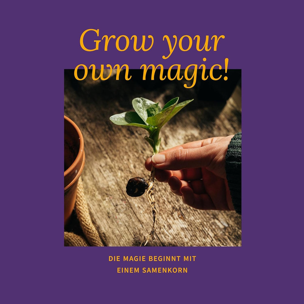 Semințe Magic Garden - Set de semințe rare - 9 soiuri neobișnuite de legume, ierburi și flori - culese manual, colorate și neobișnuite - cadou original pentru iubitorii de grădinărit