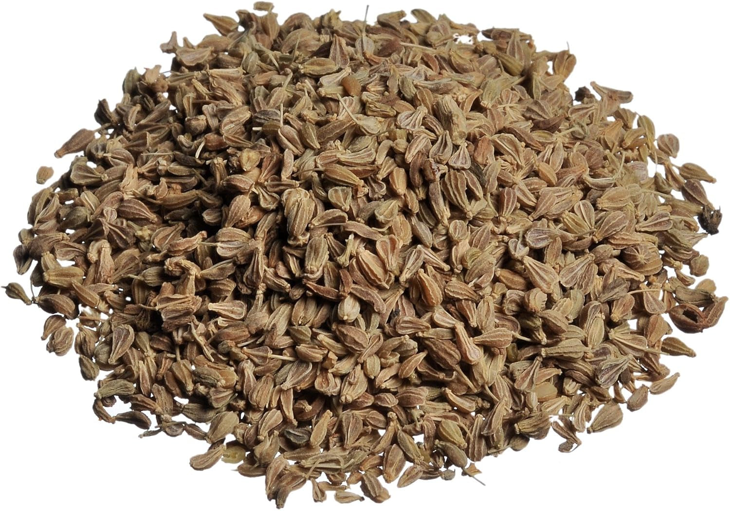 WMF Gourmet râsnita de condimente 10,5 cm, oțel inoxidabil Cromargan Rasnite si Feliatoare Naty Shop