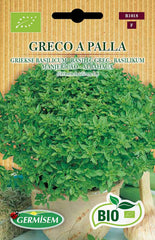 Basilikum GRECO a PALLA, ECBIO1018