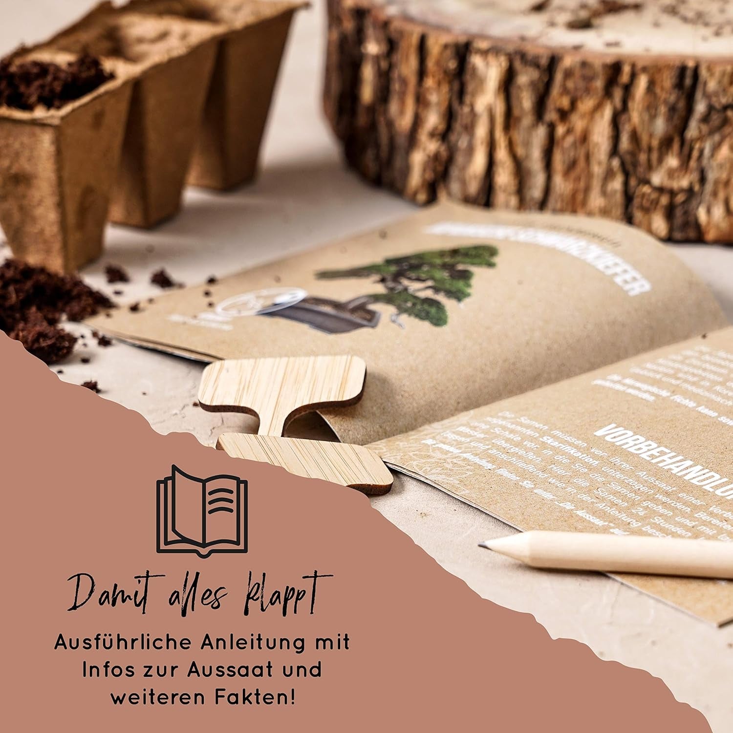 10 bonsai mag 5 kontinensről | Egzotikus famagok egyedi bonsaihoz | Kezdőkészlet és a növények szerelmesei | Bonsai készletünk különleges ajándékötlet