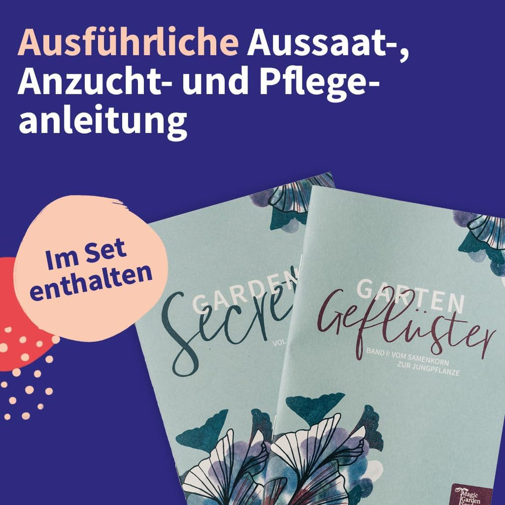 Varázskerti magvak - Közép-európai gyógynövény magkészlet - 12 hagyományos gyógynövényfajta - Örökségfajták - Kertkiegészítők - Növénymagok - Ajándék kertbarátoknak