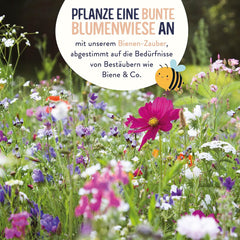 Blumenwiese Samen I 200 g I Blumensamen mehrjährig I Samen für Bienen Blumenmischung I Wildblumensamen f. Balkonblumen, Wildblumen I Wildblumensamen mehrjährig winterhart als Bienenweide
