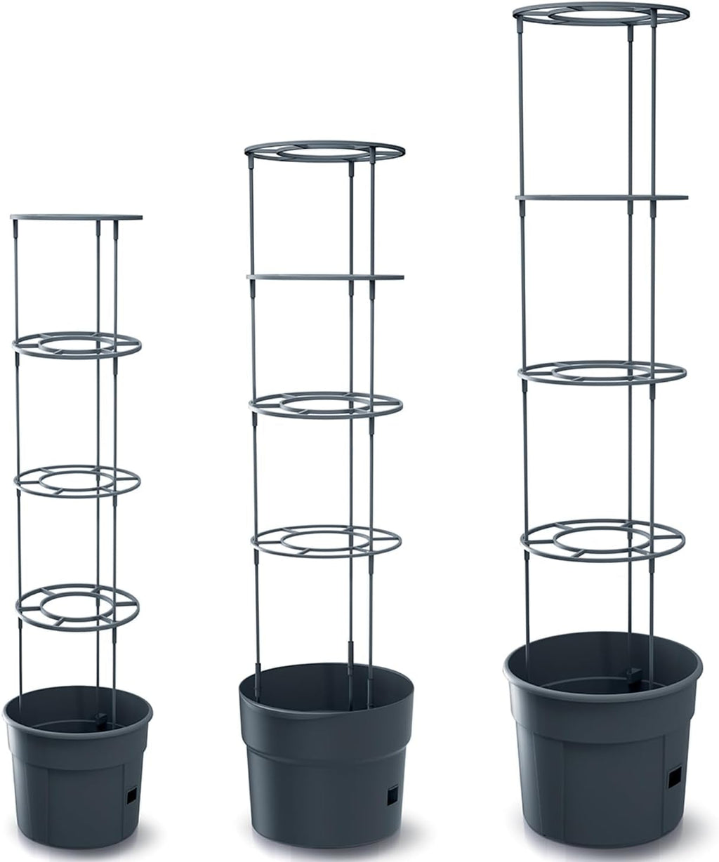 Ghiveci pentru răsaduri de roșii Prosperplast cu spalier – Jardinieră din plastic robust | Antracit | Rezistent la intemperii și UV | 29,5 x 115,2 cm | Ideal pentru grădină și terasă