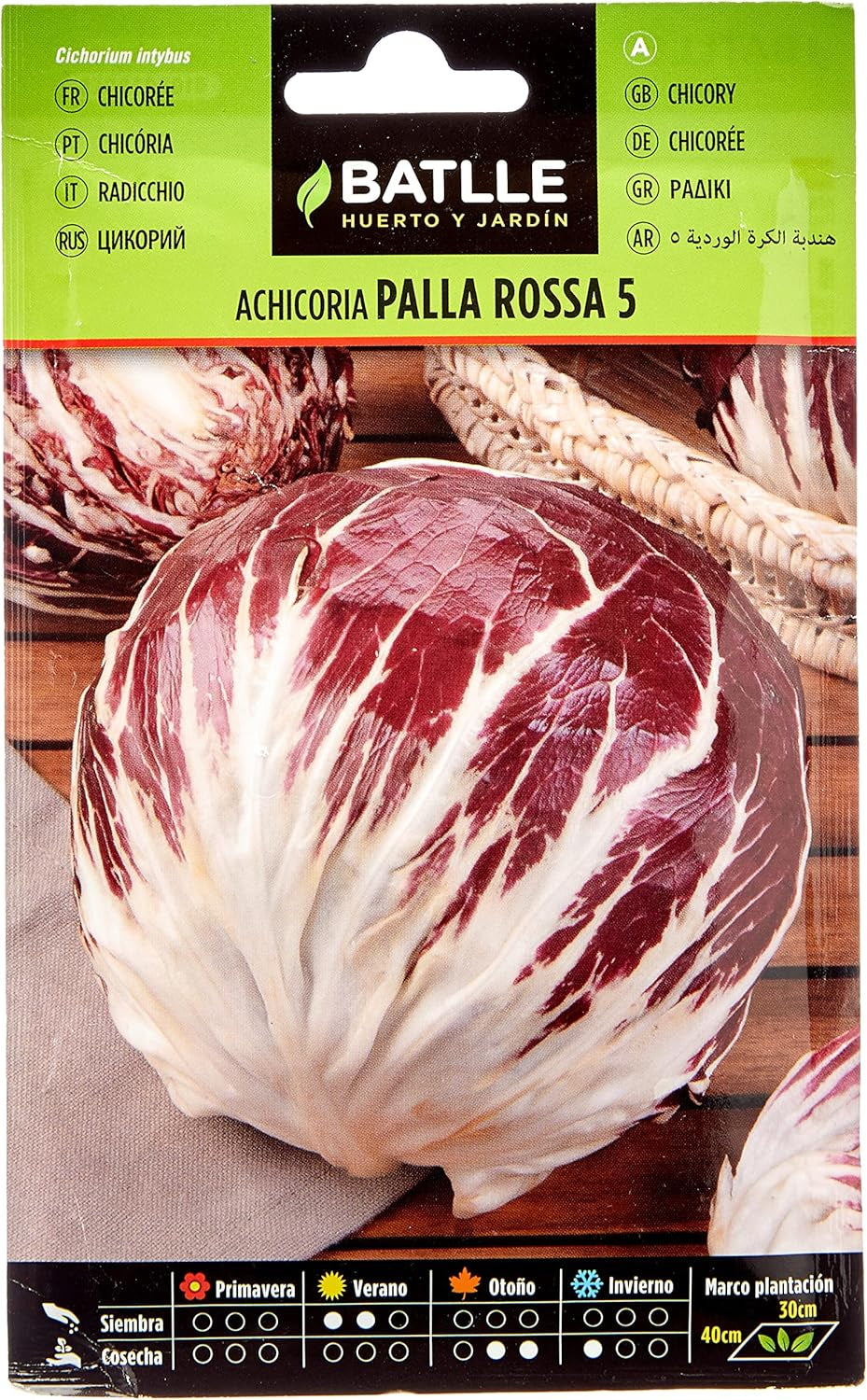 Batlle Gemüsesamen - Chicoree Radicchio Palla Rossa 5 (3840 Samen)