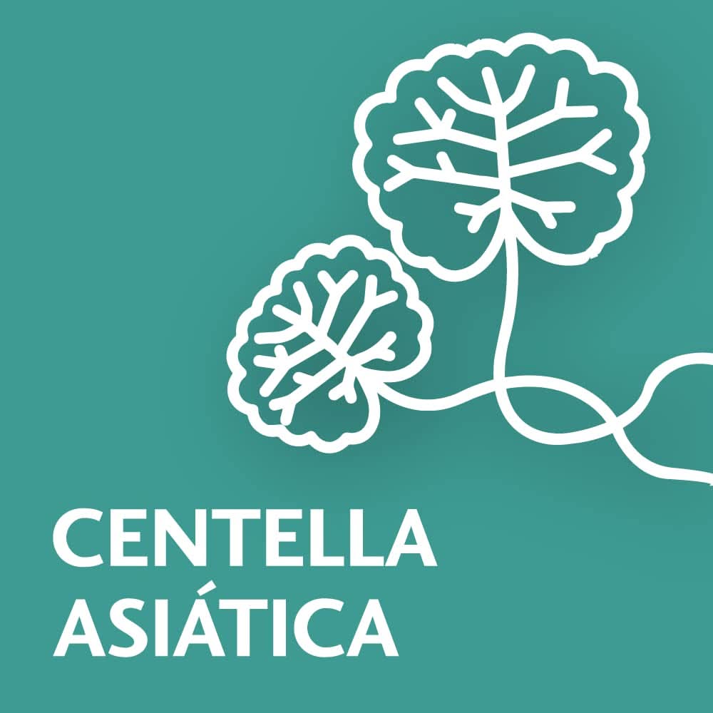 Novartis TROFOLASTIN Rugalmas mellbimbóápoló kiegészítők Étel és szoptatás Bebe Naty Shop