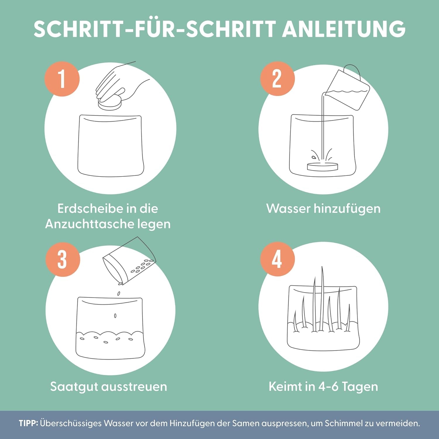 The Cat Ladies 3Er Set Katzengras Samen - Gras Anzuchtset Für Katzen - Gras Zum Fressen Für Die Katze - 3X Katzengrassamen Set - Katzengras Für Balkon Und Wohnung