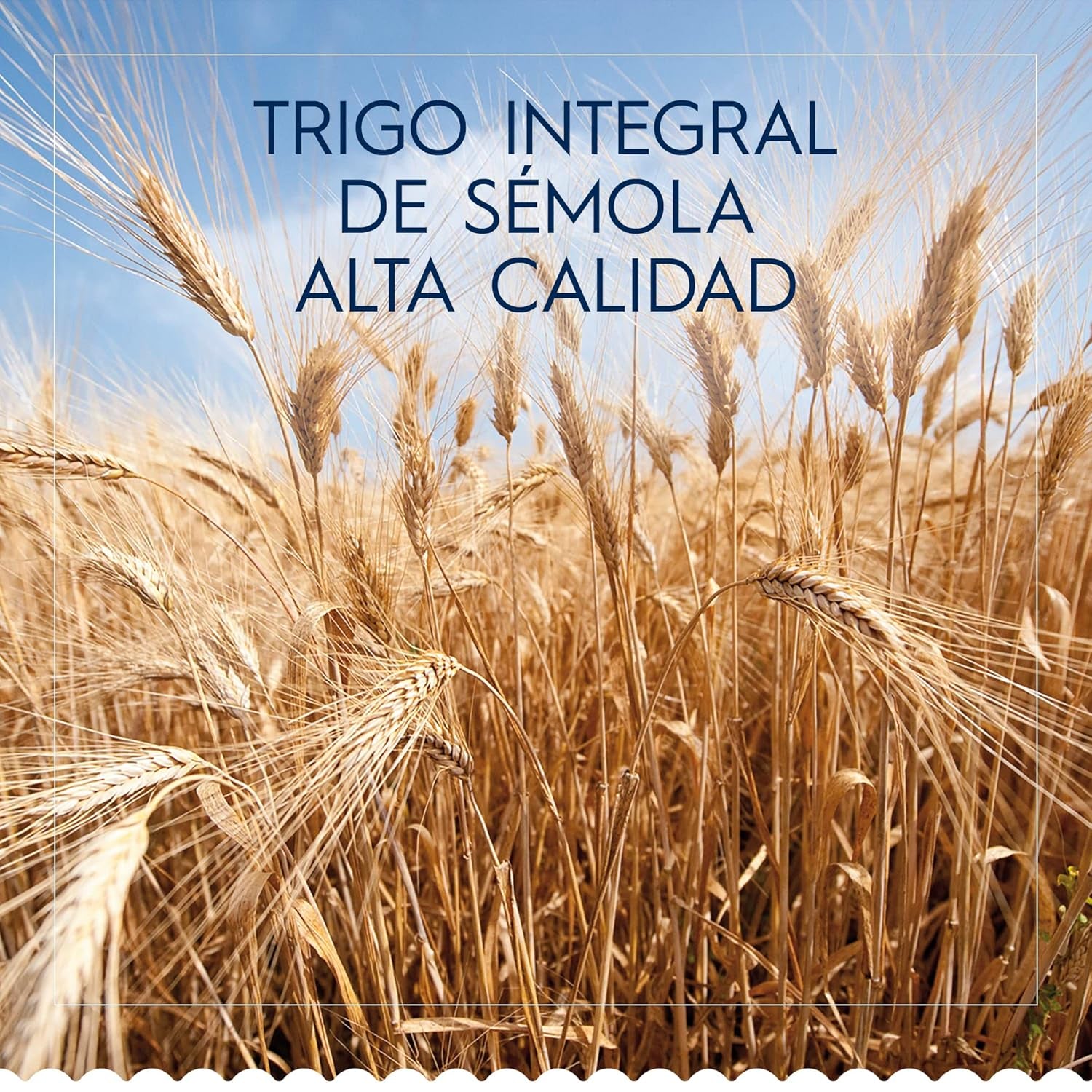 Pasta Barilla Classic Penne Rigate Nr. 73 db kiváló minőségű durumbúza, mindig al dente, (1 x 1 kg) 1 csomag