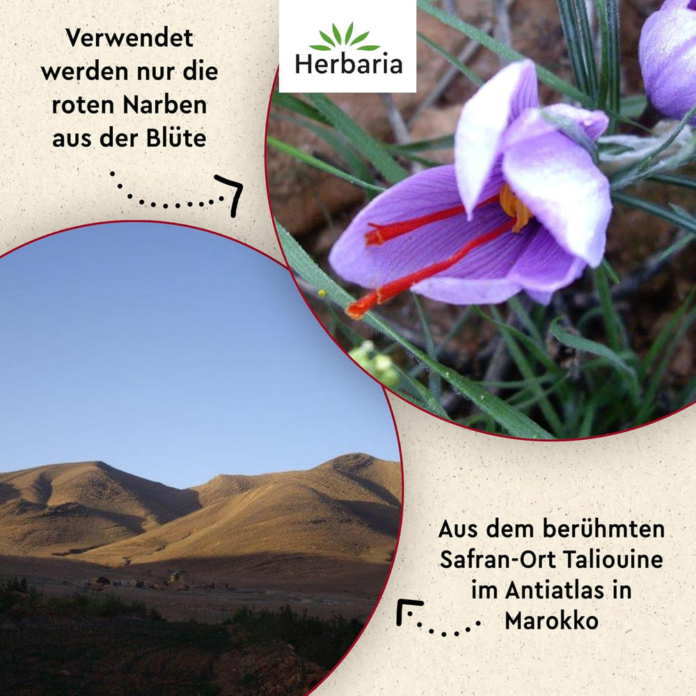 Herbaria Safran-Fäden bio 0,5g im Glas – Bio Saffron-Fäden aus dem bereicht Safran-Ort Taliouine in Marokko – Safranfäden in Premium Bio-Qualität – Saffron Premium – Safran première catégorie