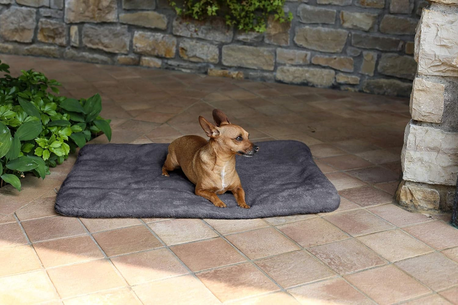 Sogni E Capricci szuper puha szőnyeg, krém, 104 x 75 cm, poliészter, paplanok és paplanok Naty Shop szürke 62 x 50 cm