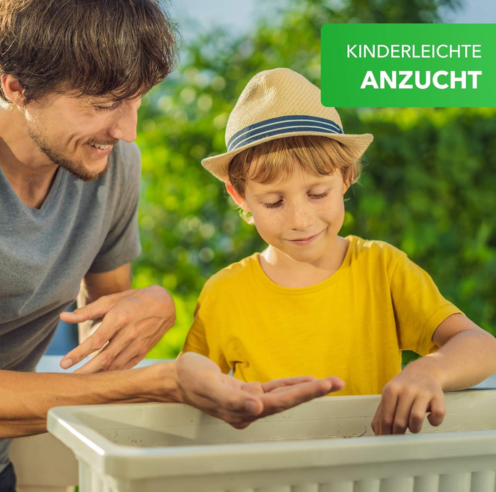 Magic of Nature Balcony Box Mix - 10g magok - Méhbarát növények - Könnyen használható - Méhek paradicsoma - 5 őshonos termesztett faj - Virágládákba és ültetőgépekbe is alkalmas