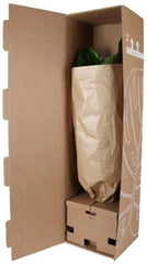 Trendyplants - Cycas Revoluta - Japanische Sago-Palme - Gartenpflanze - Höhe 60-80 Cm - Topfgröße Ø24Cm