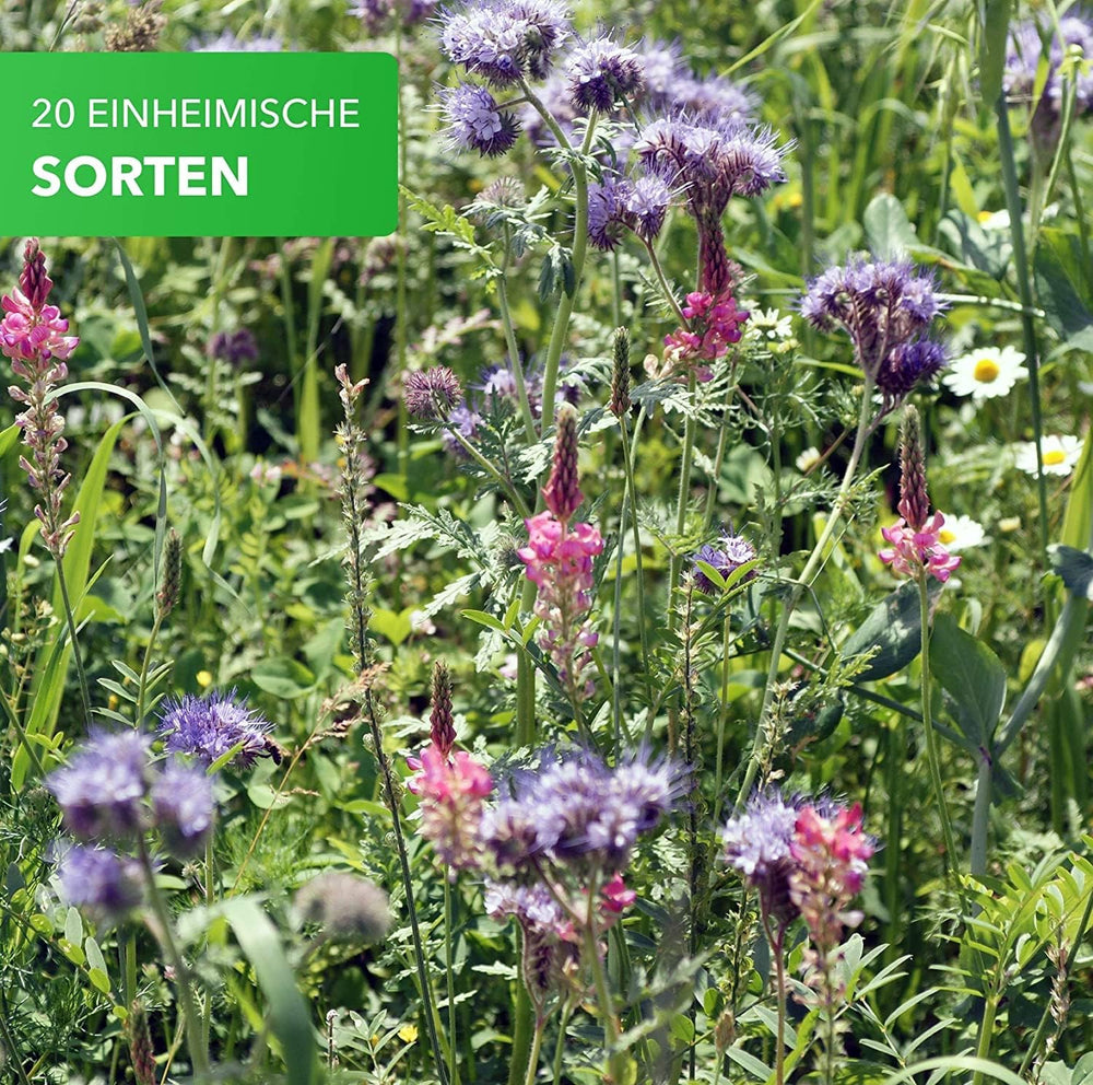 A természet varázsa 800gr. Blumensamen Mischung - Bienen Paradies - Blühfreudige Bienenweide für 150 bis 250 m²