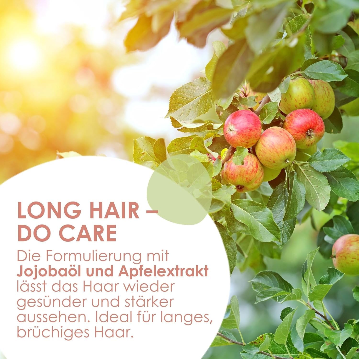 Jean & Len Care sampon jojoba és alma, ápolja a hosszú és törékeny hajat, 300 ml Zuhany és fürdő Jean & Len