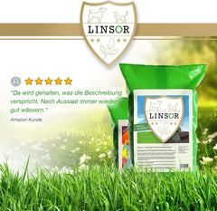 Universalrasen, 1Kg Für 25 M², Rasenmischung, Grassamen Sattgrün, Frühjahr Aussaat