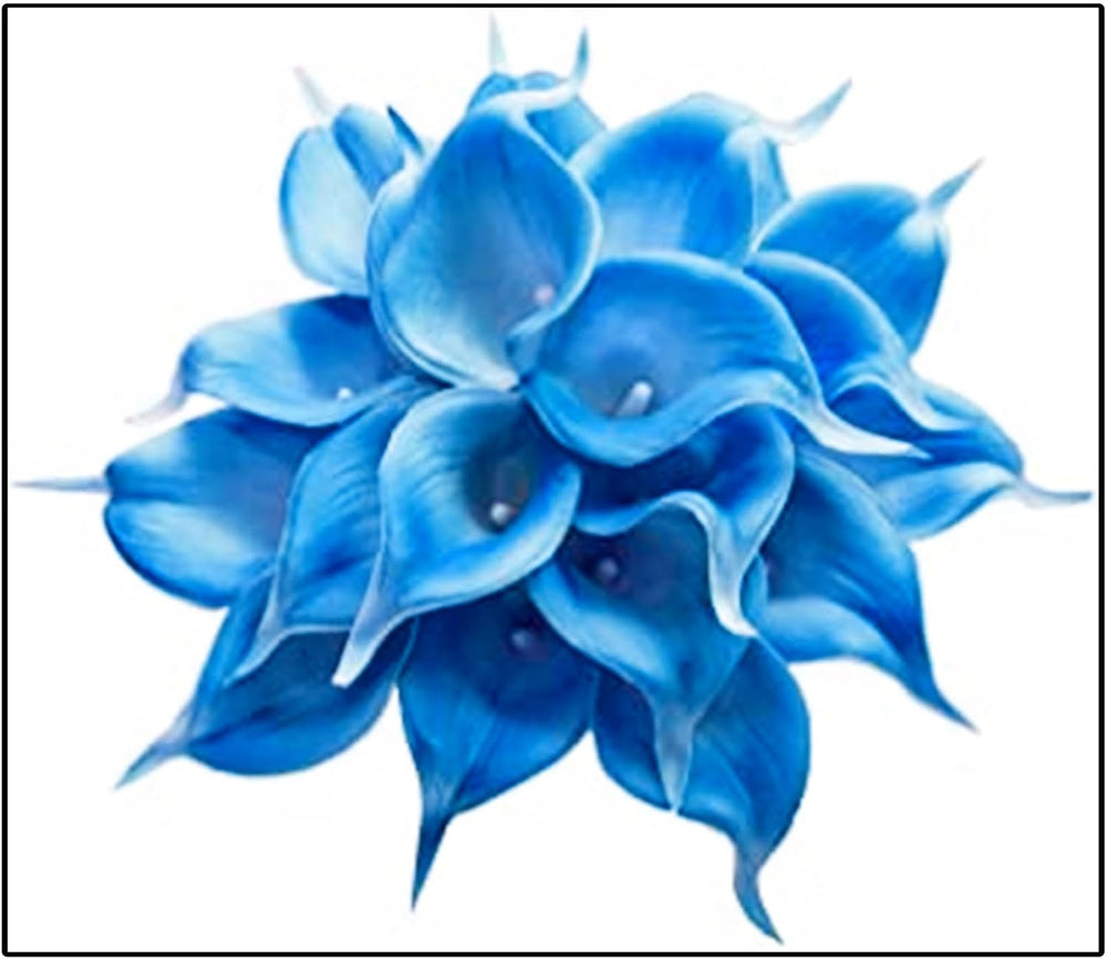 Lebende Pflanzen, Mehrjährige Blumenzwiebel ist winterhart, Winterhart pflanzen, Mysteriöse magische Glühbirne, Blumenzwiebel Mix-4 Oxalis Triangularis Blumenzwiebeln