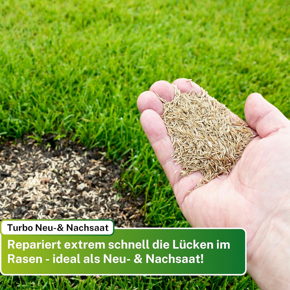 Greenyp Turbo Nachsaat RSM 3.2 I Rasensamen Schnellkeimend Frühjahr I 0,2Kg Für 10M² I Ideal Gegen Lücken Als Neu- & Nachsaat I 100% RSM Rasensamen I Grassamen Rasensaat Gras Reparaturrasen