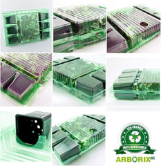 6 x Garten Scheinsonnenhut 'Doubledecker' - Echinacea Purpurea 'Doubledecker' Pot 9x9cm: Doppelte Blüten, einzigartige Optik, zieht Bienen an, ideális für Gärten.