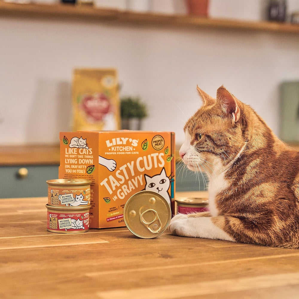 Hrană umedă naturală Lily's Kitchen pentru pisici adulte, la conservă, bucăți gustoase în sos cu pui, rețetă fără cereale (24 tăvi x 85 g)