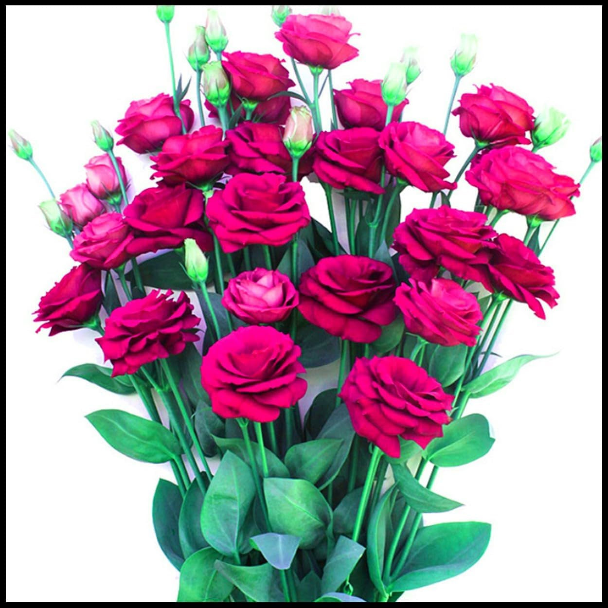 Virághagyma keverék, Mystery Magic Hagyma, Hardy Planting, Winter Hardy Évelő Virághagyma, Hardy Hagyma - 3 Orchidea hagyma