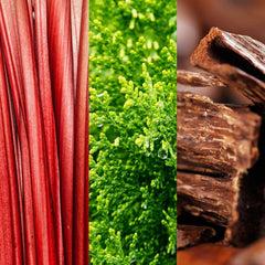 JOOP! Megy! Férfi tusfürdő fás-gyümölcsös illattal, 150 ml Tusfürdő és fürdő Naty Shop