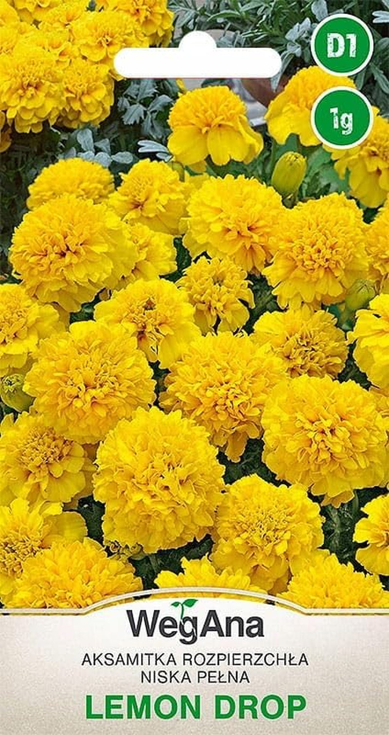 Cosmos Sensation Mix 1g mag, Cosmos Mix Nyári virágok, Kerti növények Erkélynövények, Virágmagok