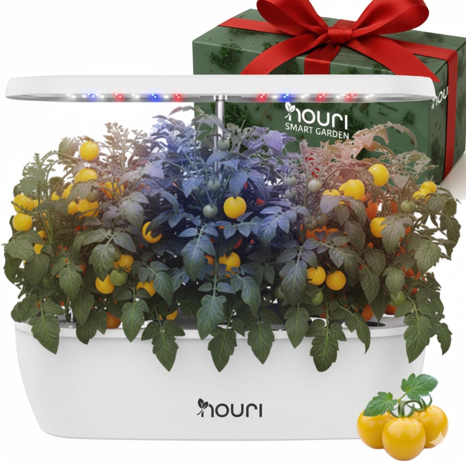 New 7 Bridge + Heirloom Basil | Okos kert házi szakácsoknak | Hidroponikus termesztőrendszer | LED Grow Lights | Beltéri fűszernövény-kertészeti készlet növények szerelmeseinek és kertészeknek, fehér