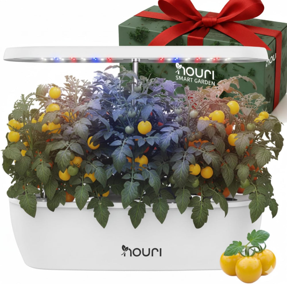New 7 Bridge + Heirloom Basil | Okos kert házi szakácsoknak | Hidroponikus termesztőrendszer | LED Grow Lights | Beltéri fűszernövény-kertészeti készlet növények szerelmeseinek és kertészeknek, fehér
