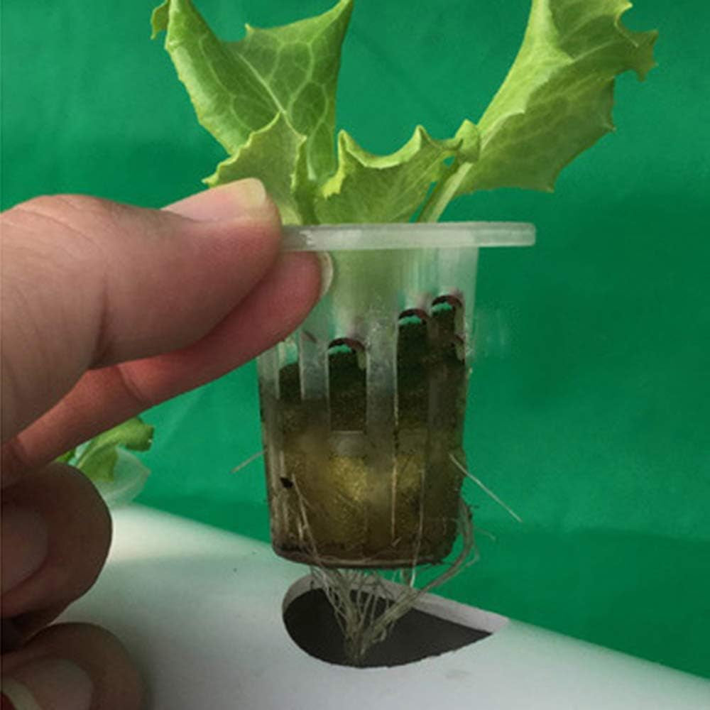 1 rétegű hidroponikus termesztőkészlet 54 ültetővel, PVC talajmentes növénytermesztő rendszerekkel vízszivattyúval, hidroponikus termesztőkészletekkel zöldség- és gyümölcstermesztéshez erkélyeken, kertekben, teraszokon és hátsó udvarokon