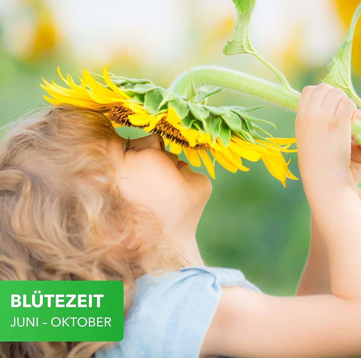 A természet varázsa 800gr. Blumensamen Mischung - Bienen Paradies - Blühfreudige Bienenweide für 150 bis 250 m²