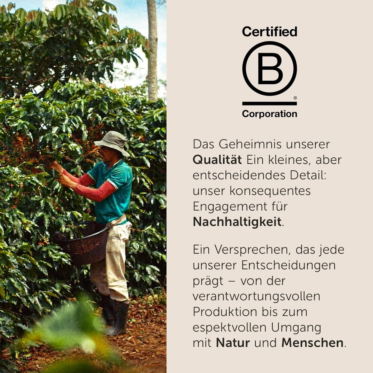 illy, Kaffeebohnen Zum Mahlen CLASSICO, 100 % Arabica mit Noten von Orangenblüten und Jasmin, Sanfter Geschmack und Süßer Nachgeschmack, 1 Dose mit 500g