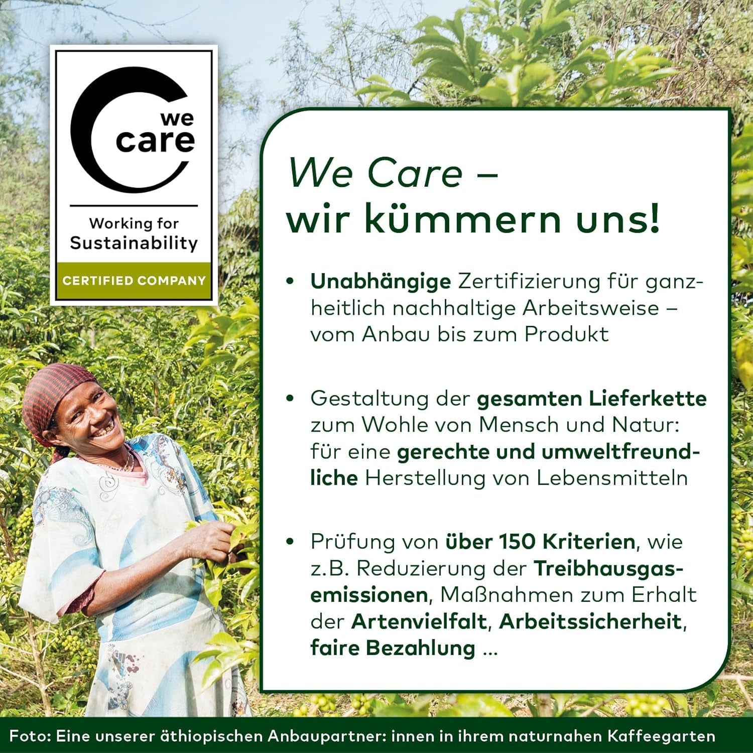 Lebensbaum Garam Masala, Bio-Gewürz zum Würzen von Currys, Rice und Geflügel mit würzig-warmer und angehenm pfeffriger Megjegyzések, 40 g