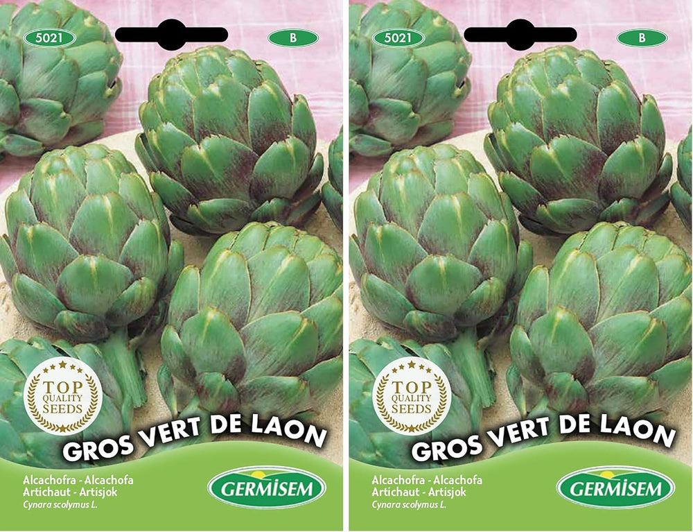 Artischocke VERT DE LAON, Mehrfarbig, EC5021 (Packung Mit 2)