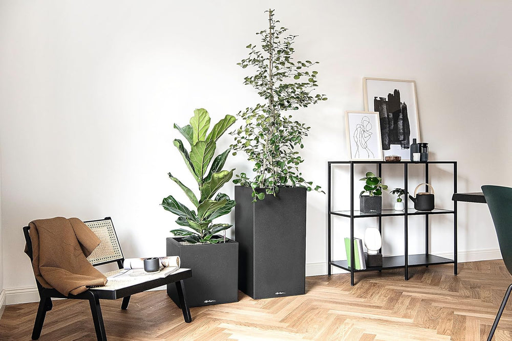 Lechuza CANTO Stone 30 înălțime, Negru grafit, Plastic de înaltă calitate, Include sistem de udare, Inserție de plantare detașabilă, Pentru uz interior și exterior, 13602, 30x30x56 cm