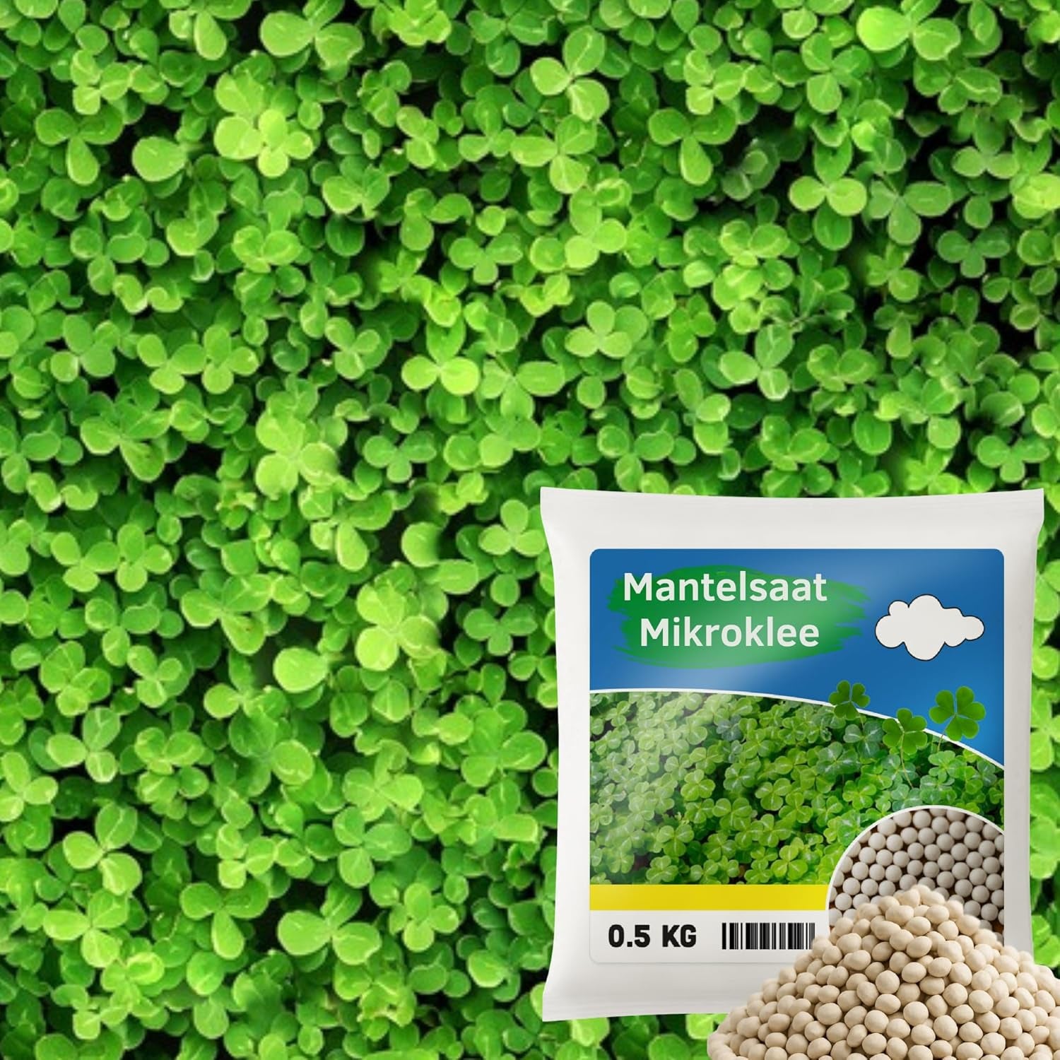 Virágos rét - Méhbarát virágmagkeverék - Vadvirágok és füvek száraz helyekre - Vadvirágmagok - Egynyári és évelő magkeverék