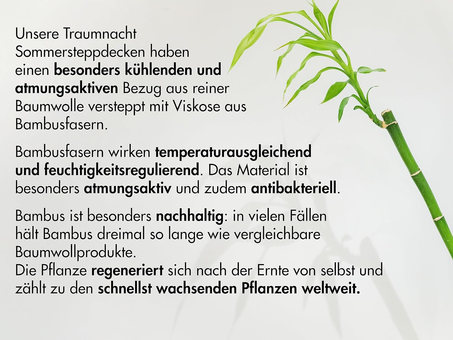 Traumnacht Pernă din bambus cu fibre de bambus, hipoalergenic, antibacterian Set de perne cu fermoar, format din 2 perne 40X80Cm, certificat Oeko-Tex, dezvoltat în Germania Perne standard Naty Shop