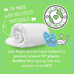 Plapumă Snug Just Right, 10.5 tog, fibră goală, alb, pat dublu Plapumi si pilote Naty Shop