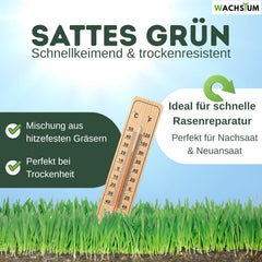 Rasensamen Schnellkeimend 0,5 Kg – Frühjahr Und Sommer Premium Grassamen Nachsaat, Dichter Strapazierfähiger Rasen, Mähroboter Geeignet – Kräftiges Wachstum (Bis 20 M²), RSM Qualität,