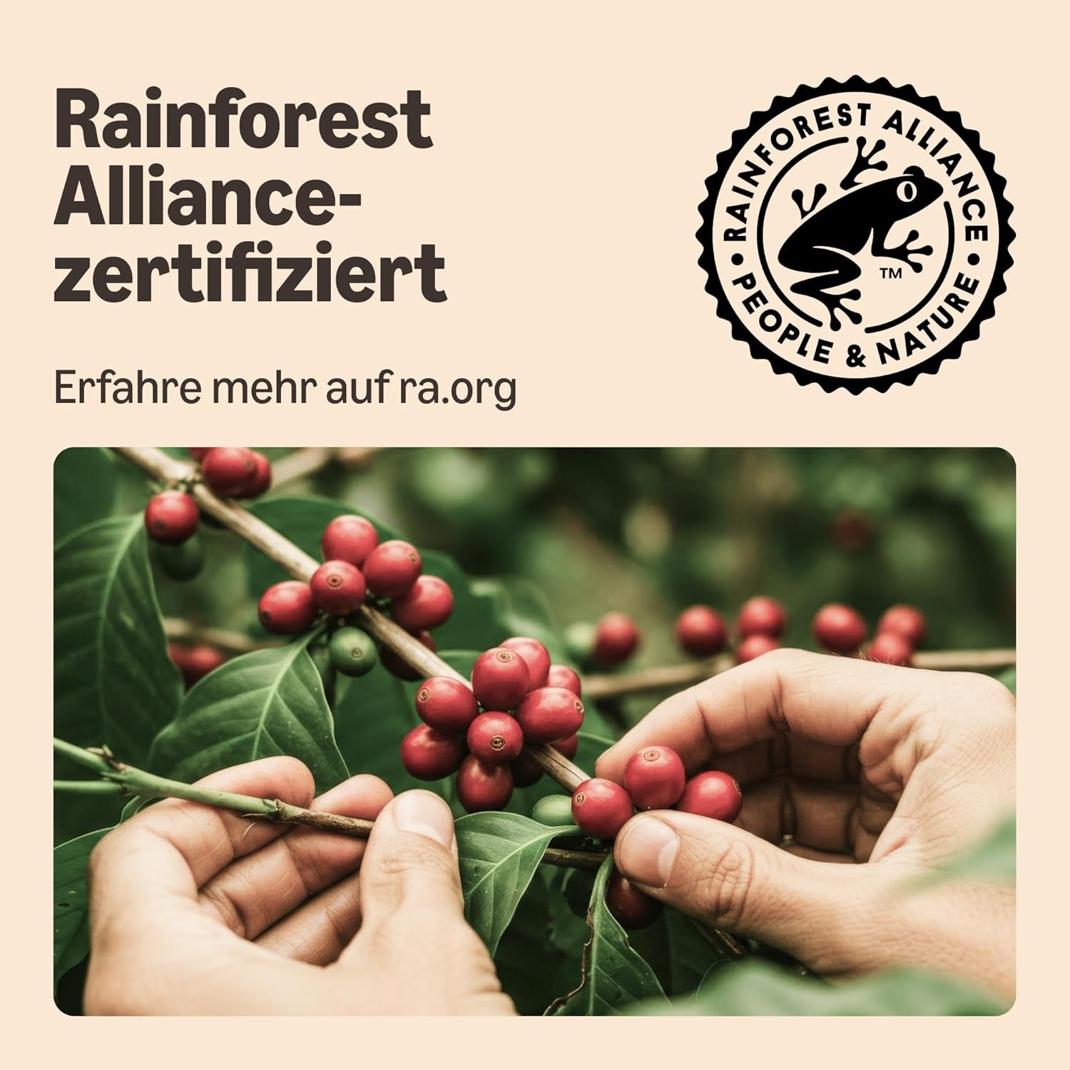 by Amazon Lungo Kaffee-Kunststoffkapseln, Nespresso-kompatibel, 20 Stück, Packung mit 1 – Rainforest Alliance-zertifiziert