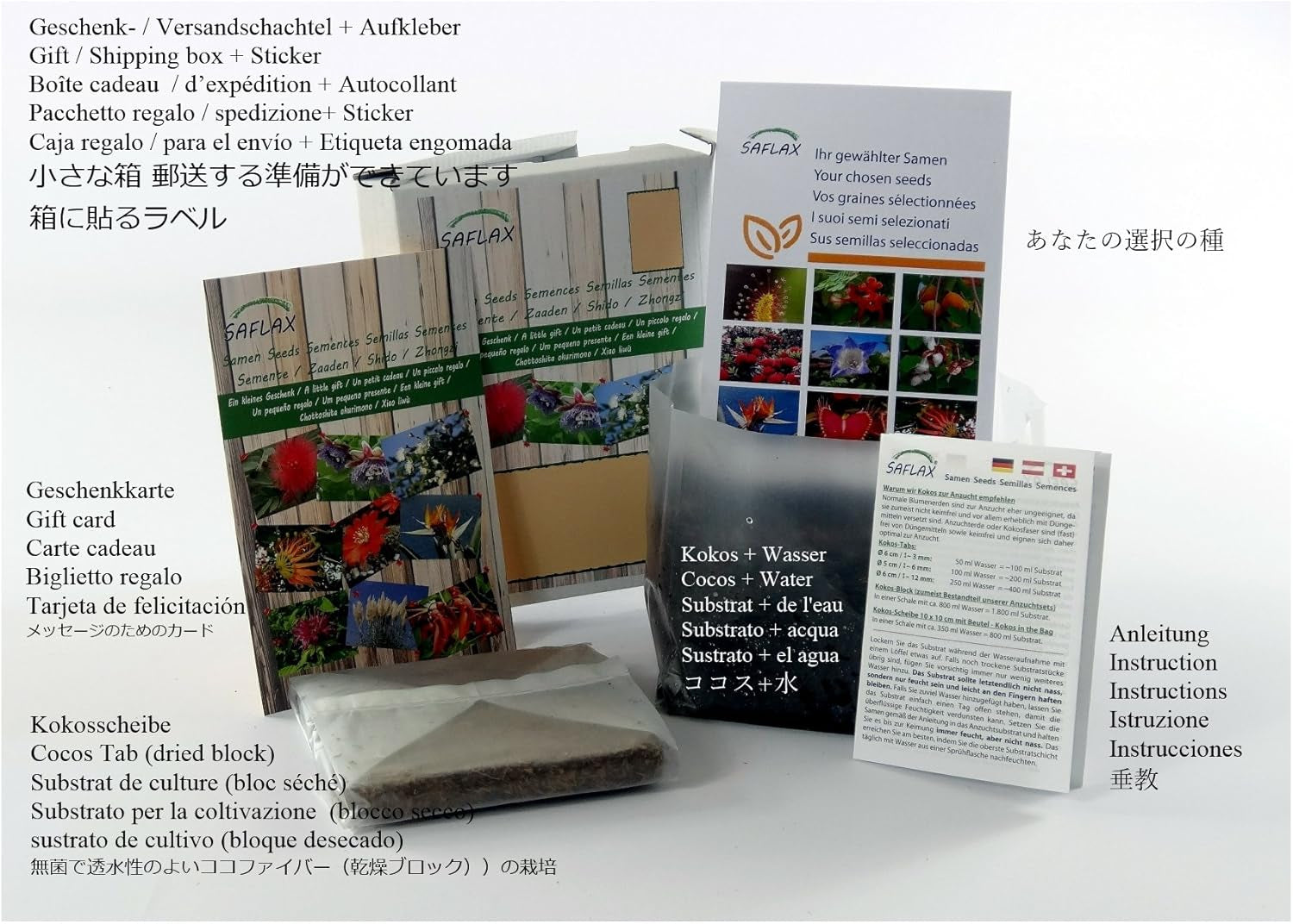 SAFLAX - Geschenk Set - Afrikanischer Affenbrotbaum - 6 Samen - Mit Geschenk- / Versandbox, Versandaufkleber, Geschenkkarte Und Anzuchtsubstrat - Adansonia Digitata
